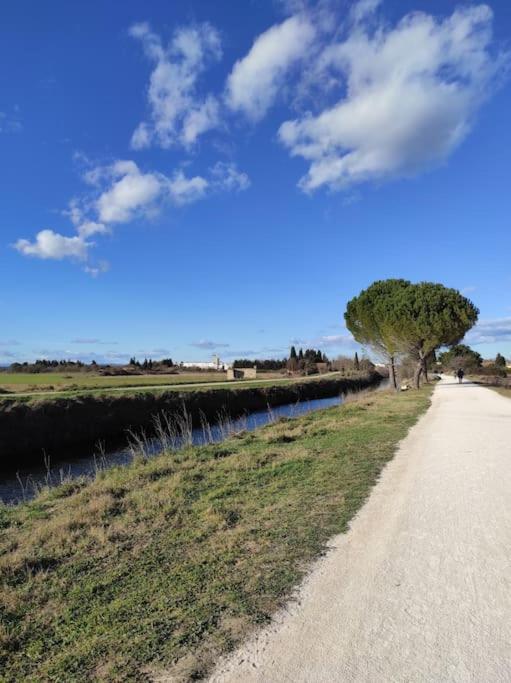 Appartement A 10Km De La Grande Motte, Palavas... Lunel (Herault) Exterior foto
